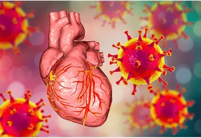 COVID-19 and its impact at the Myocardial level